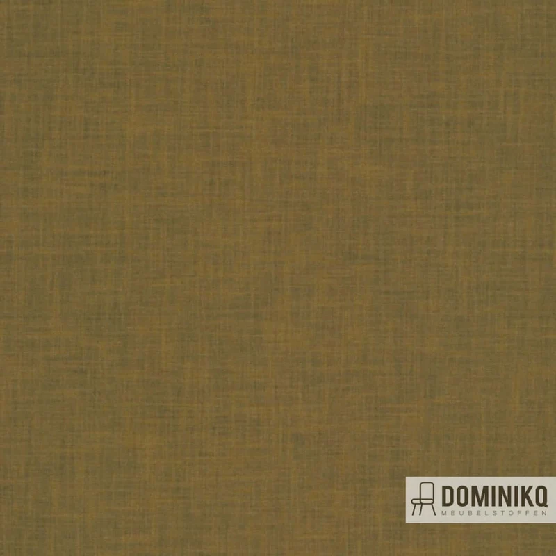De Ploeg - Kendix - Dream à 77