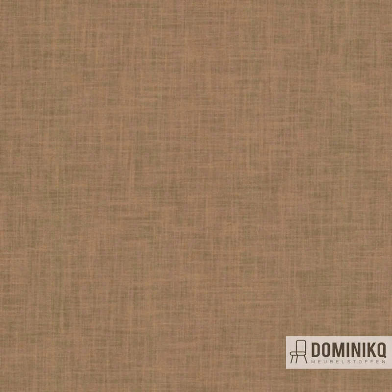 De Ploeg - Kendix - Dream à 22
