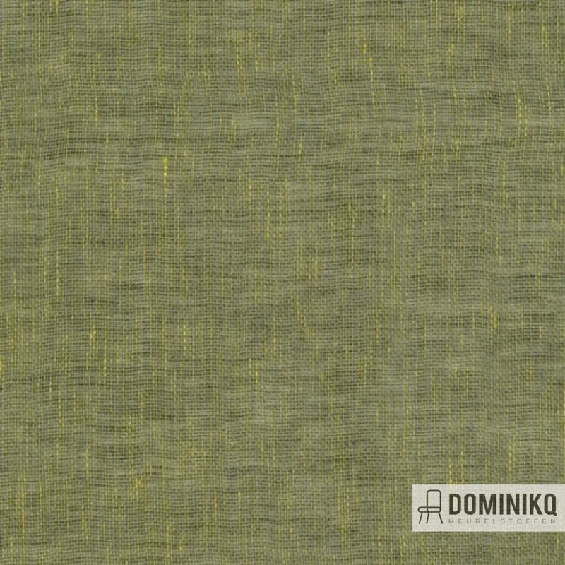 De Ploeg - Kendix - Cameo à 55