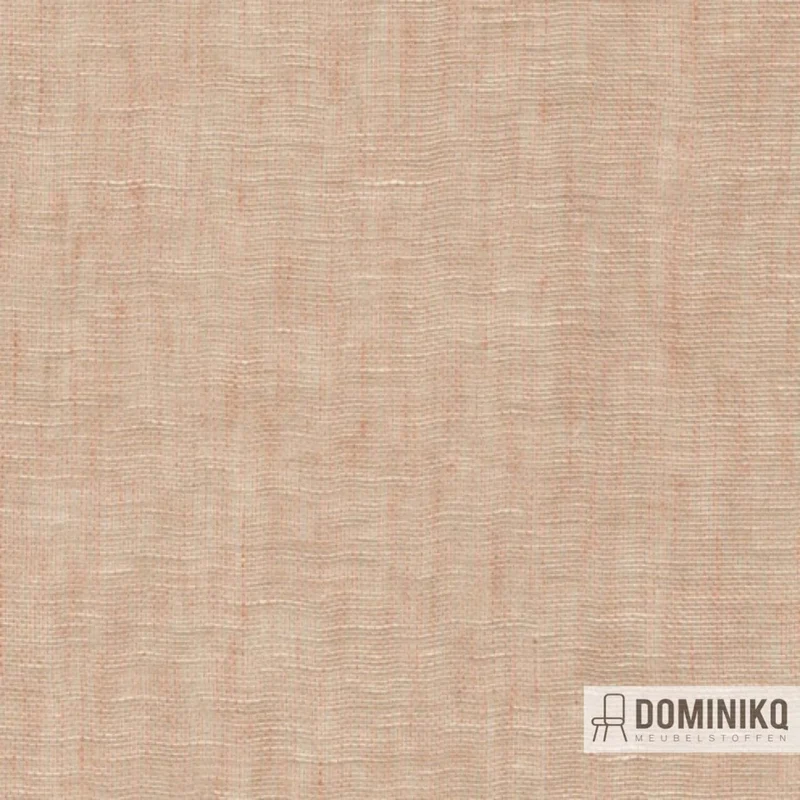 De Ploeg - Kendix - Cameo à 12