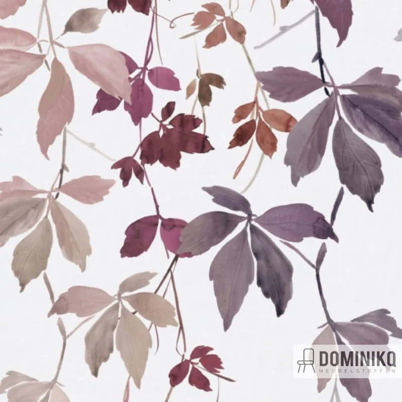De Ploeg - Kendix - Botanique-Rang-U 03