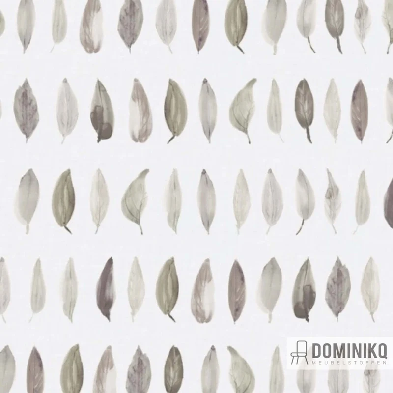 De Ploeg - Kendix - Feuille-botanique-U 09