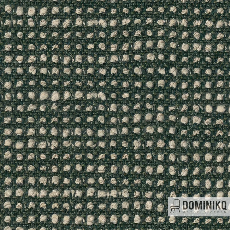 Sunbrella - Slow - 19106 SF - Fougère