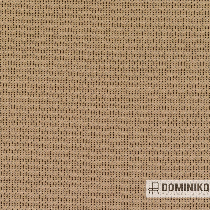 Kvadrat - Ame à 242