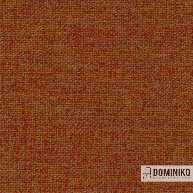 De Ploeg -Taro-21