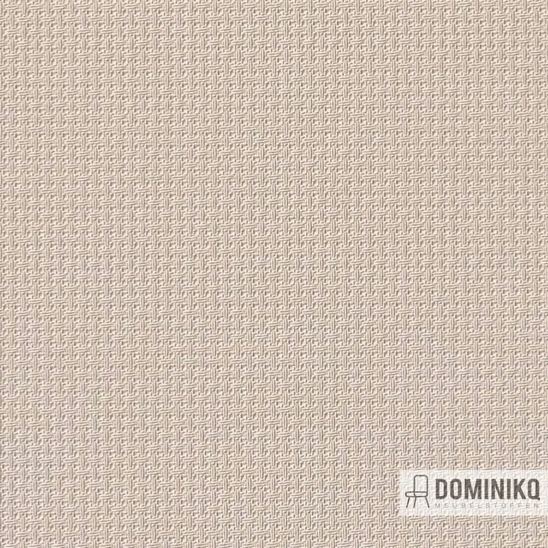 Vyva Fabrics - Beaavec - 541893 - Champagne