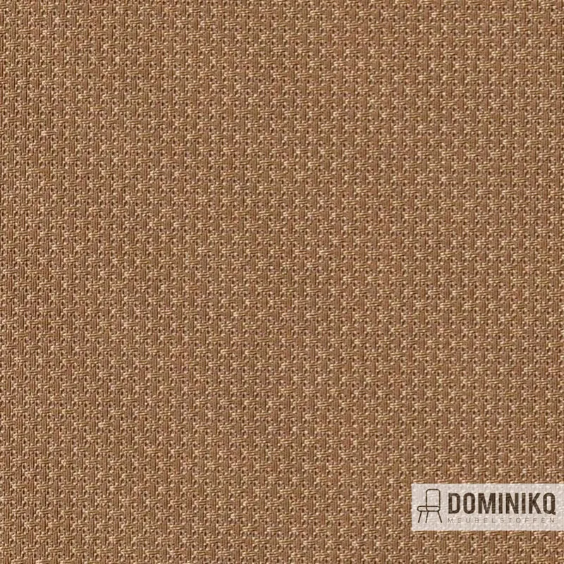 Vyva Fabrics - Beacon - 541896 - Vieil Or