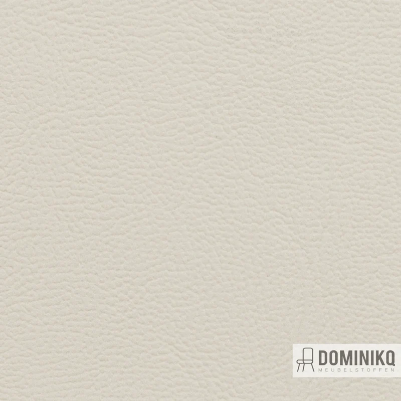 Vyva Fabrics - Maritime - 0006 - Champagne