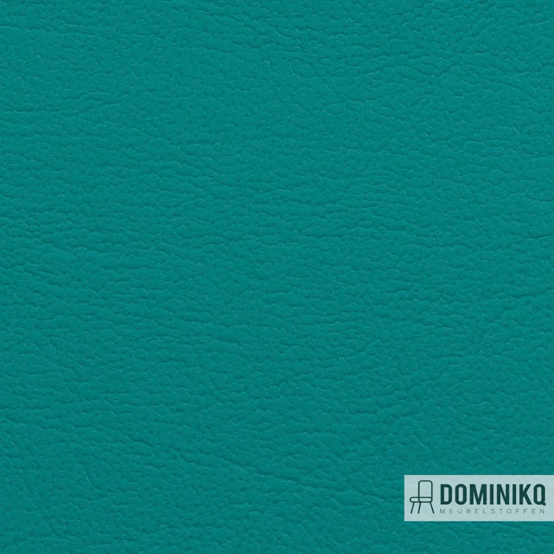 Vyva Fabrics - Maritime - 0014 - Laguna Green