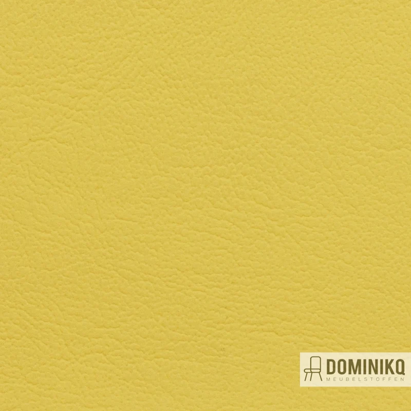 Vyva Fabrics - Maritime - 0016 - Jaune