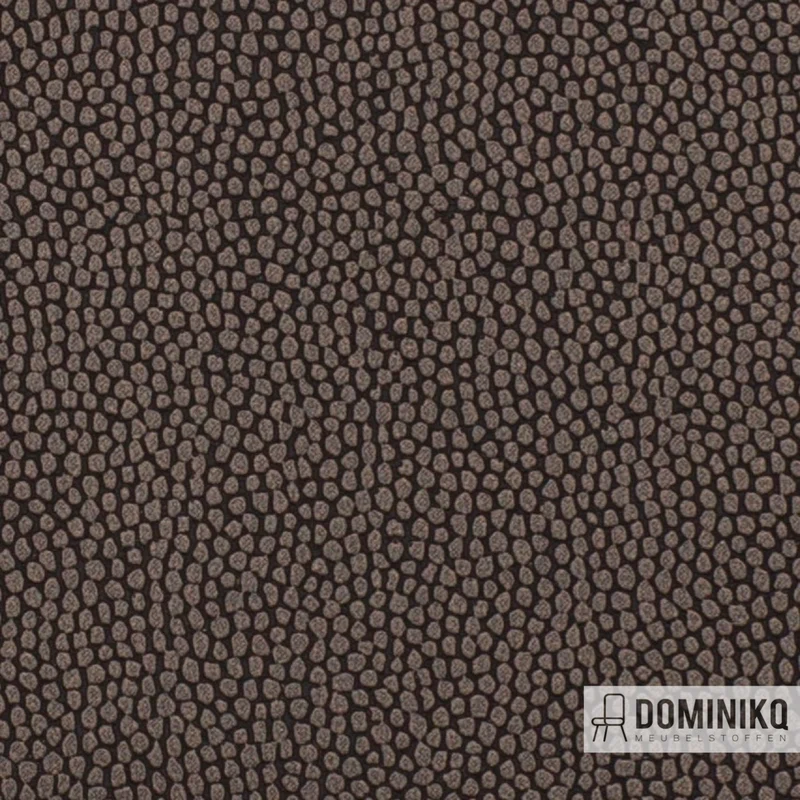 Vyva Fabrics - Mosaïque - 9949 - Dakota