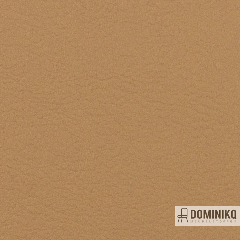 Vyva Fabrics - Valencia - 107-2117 - Cachemire