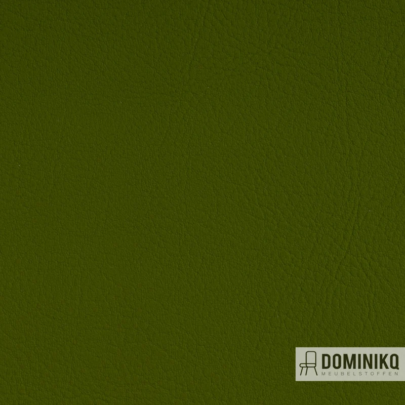 Vyva Fabrics - Valencia - 107-5001 - Olive