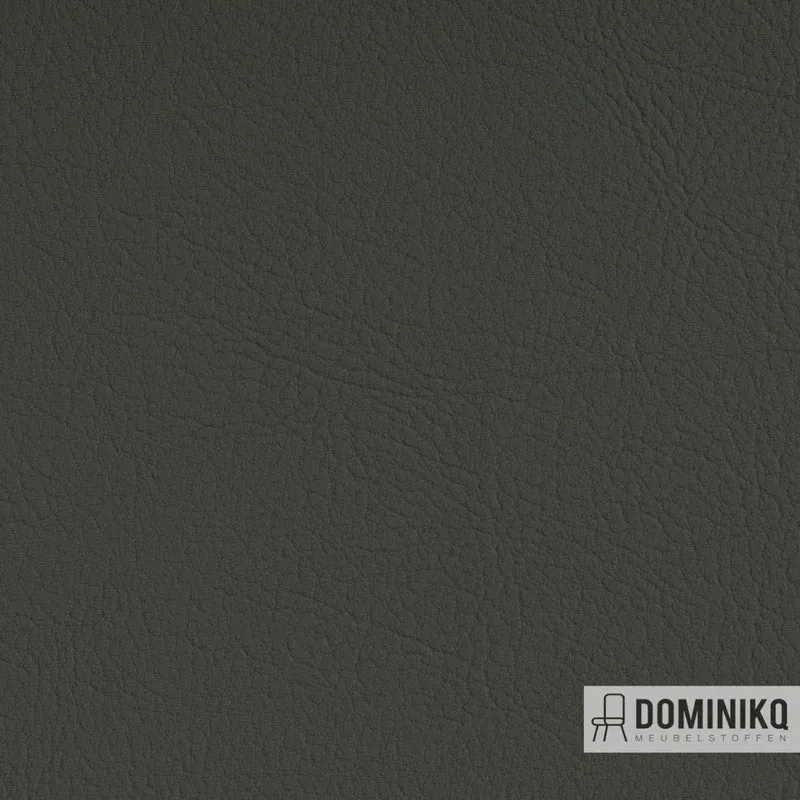 Vyva Fabrics - Valencia - 107-4052 - Gris clair