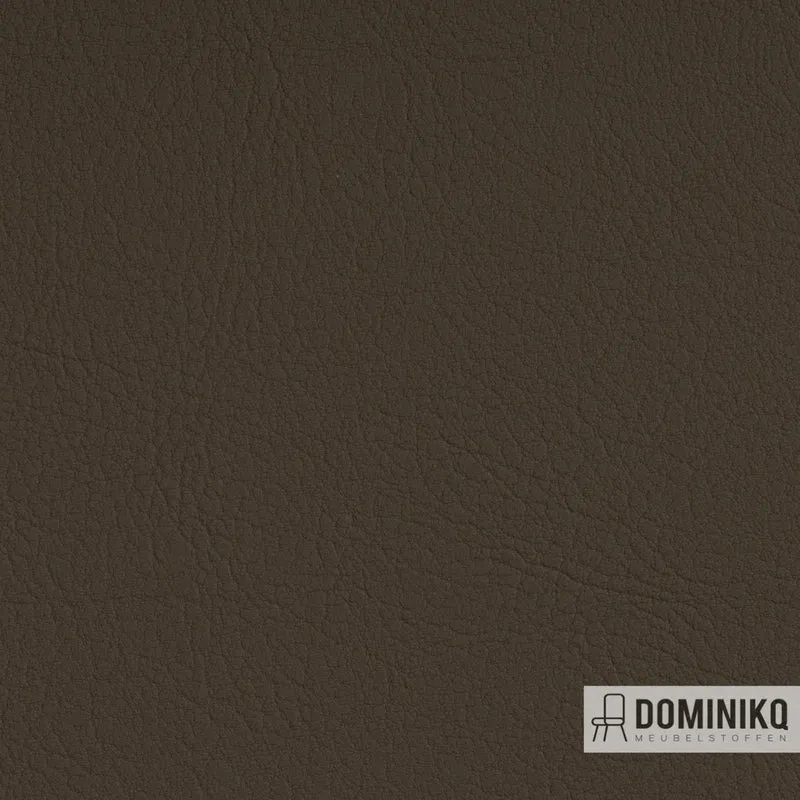 Vyva Fabrics - Valencia - 107-5002 - Moss