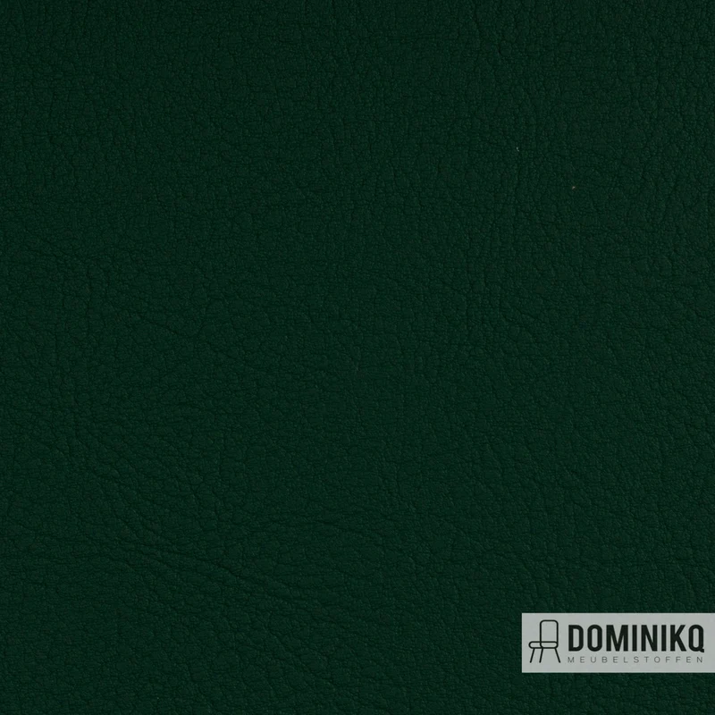 Vyva Fabrics - Valencia - 107-5069 - Vert