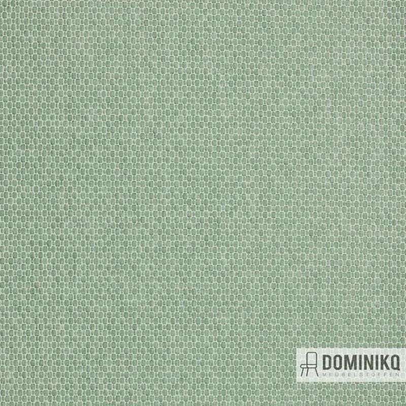 Vyva Fabrics - Pukka - 5020 - Fenouil