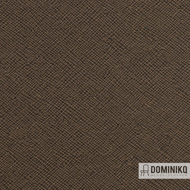 Vyva Fabrics - Econic - 5262 - C foncélove