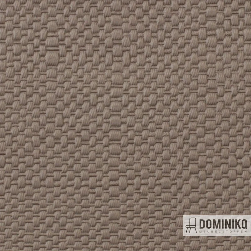 Vyva Fabrics - Paille - 3424 - Prosecco