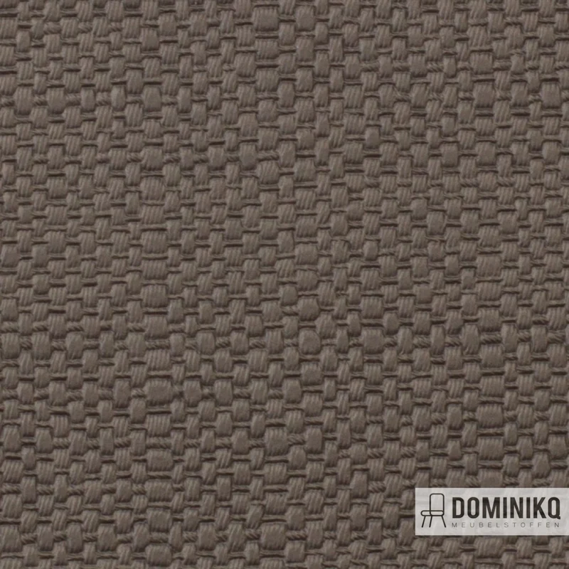 Vyva Fabrics - Paille - 3422 - Root Beer