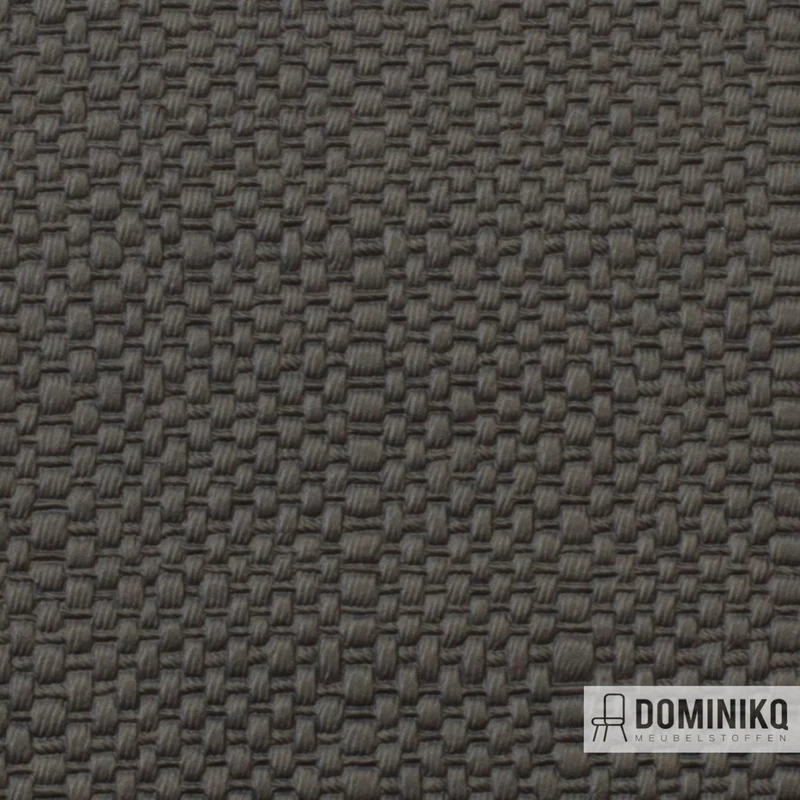 Vyva Fabrics - Paille - 3406 - Earl Grey