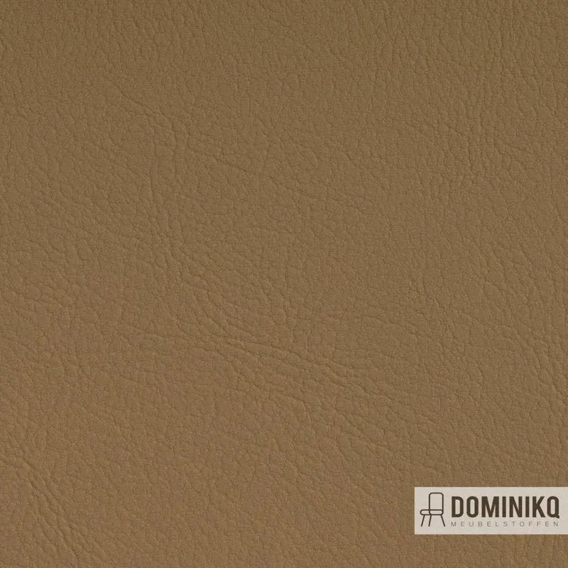Vyva Fabrics - Valencia - 107-1050 - Beige