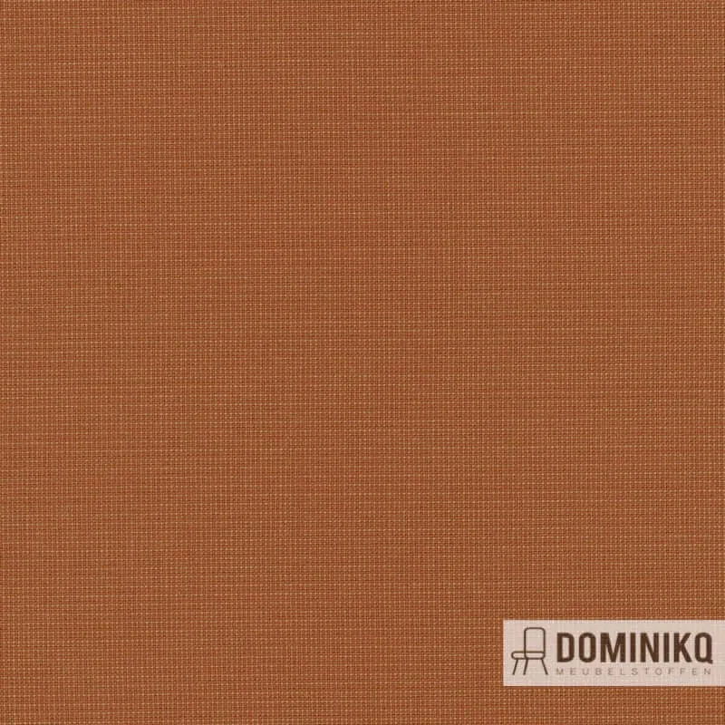 Kvadrat - Naveli à 453