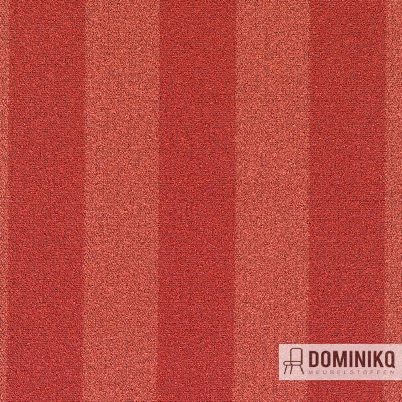 Kvadrat - Sahco - Acca Stripe - 551