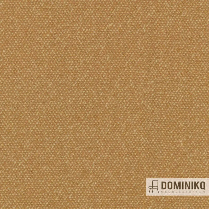 Kvadrat - Raf Simons - Vanir - 443