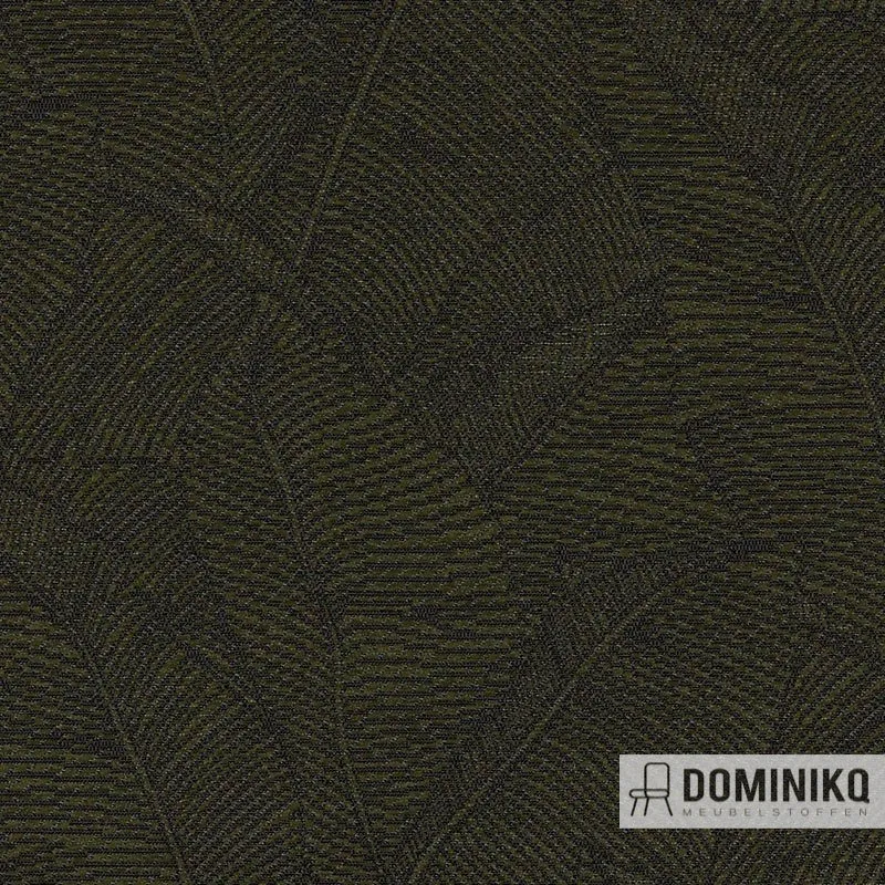 Keymer - Forest à 45