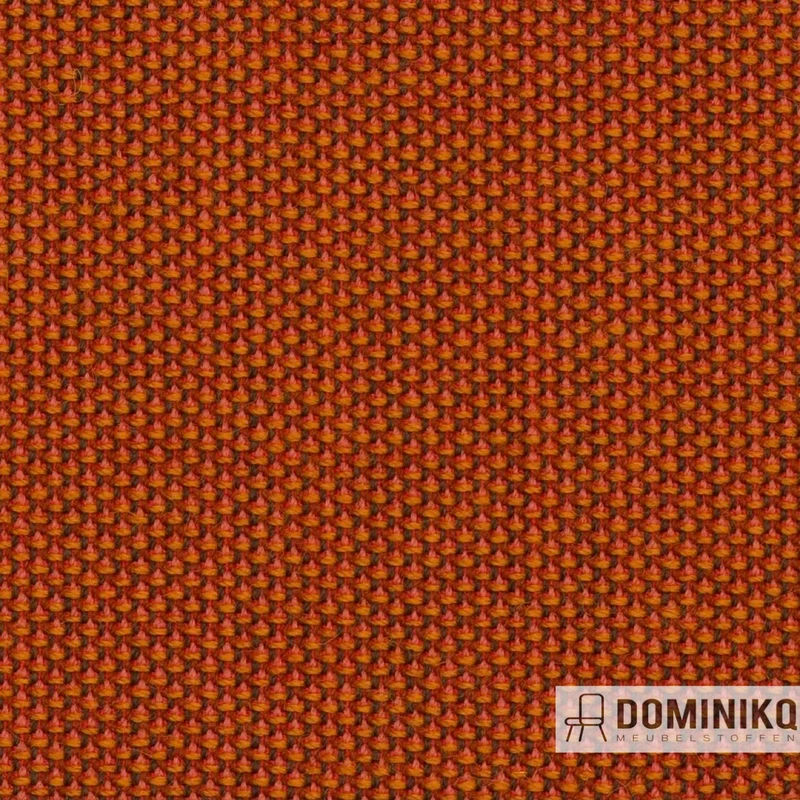 Camira - Penta - PEN33 - Dominante