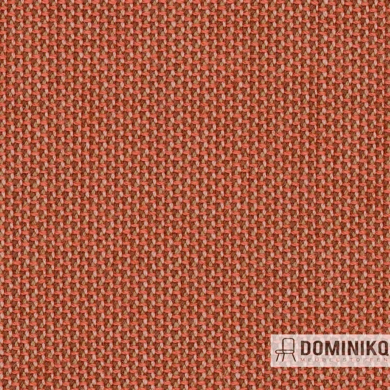 Camira - Penta - PEN30 - Peinture