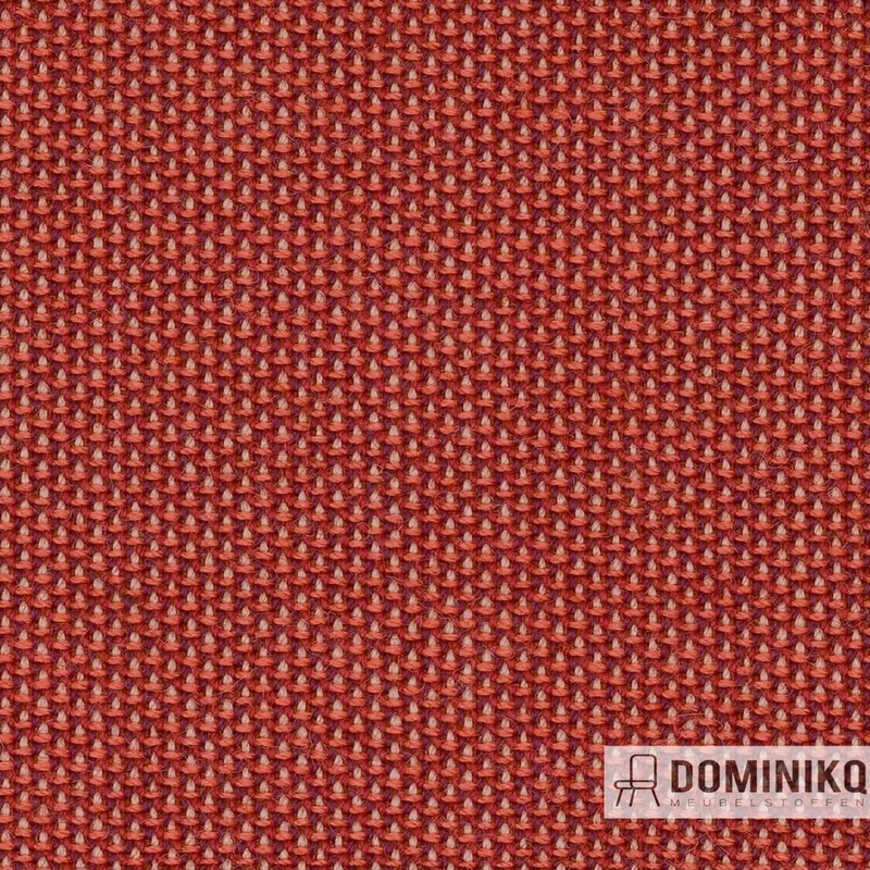 Camira - Penta - PEN28 - Éclat