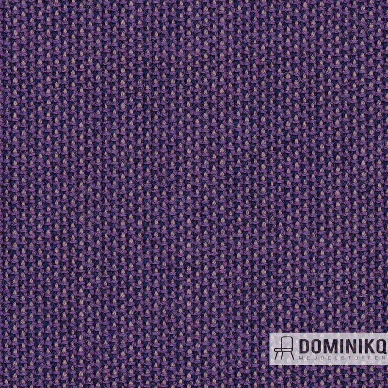 Camira - Penta - PEN25 - Iris