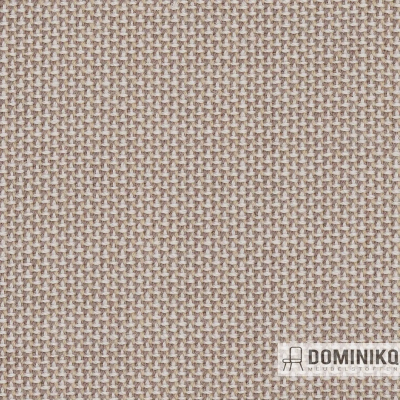 Camira -Penta-PEN20-Lumière