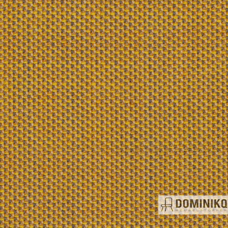 Camira - Penta - PEN19 - Lueur
