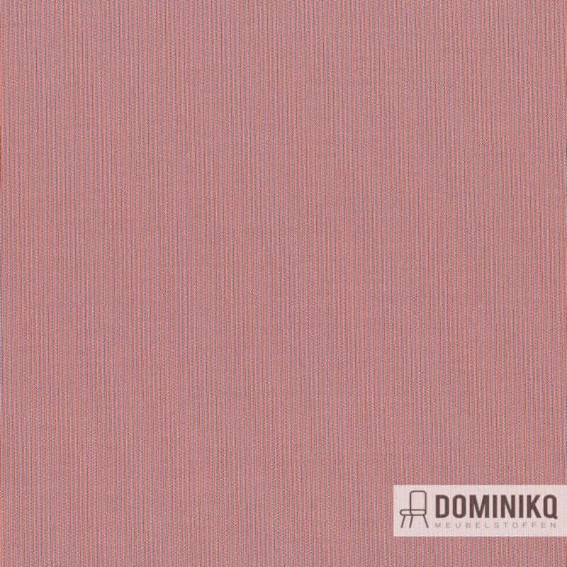 Kvadrat - Febrik -Suunta-622