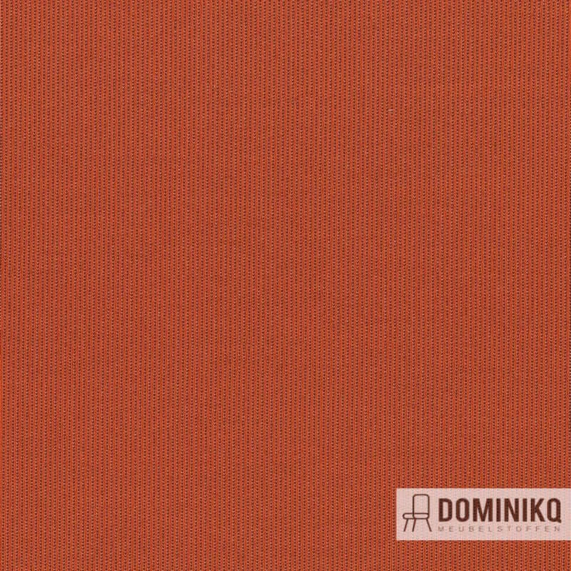 Kvadrat - Febrik -Suunta-552