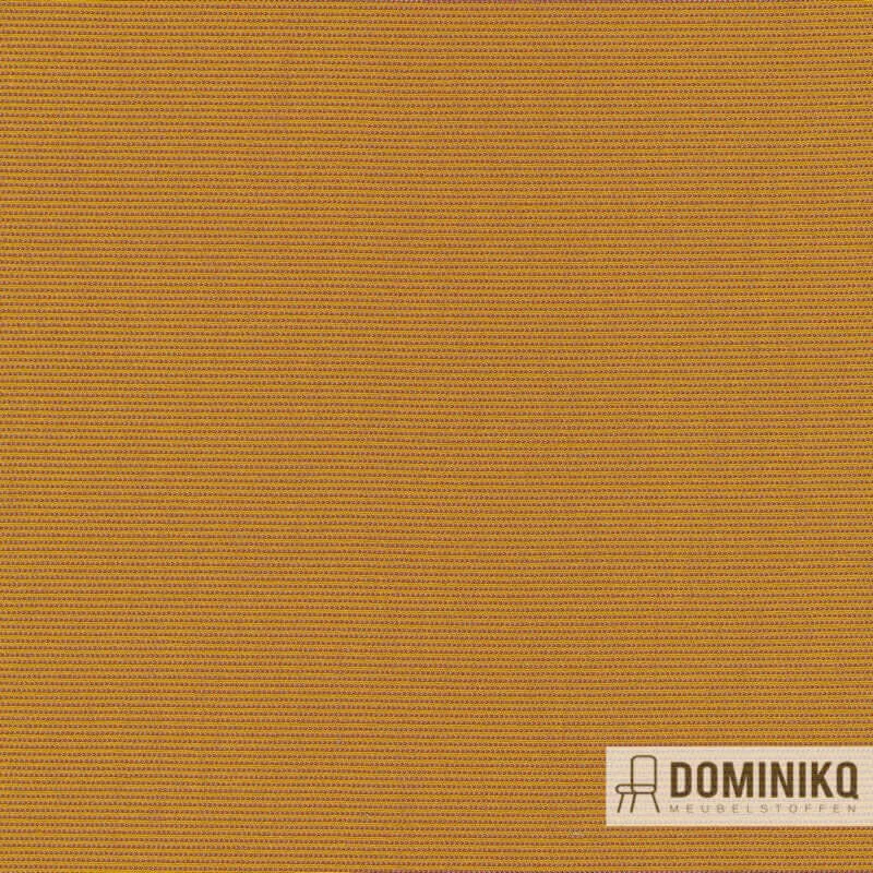 Kvadrat - Febrik -Suunta-442