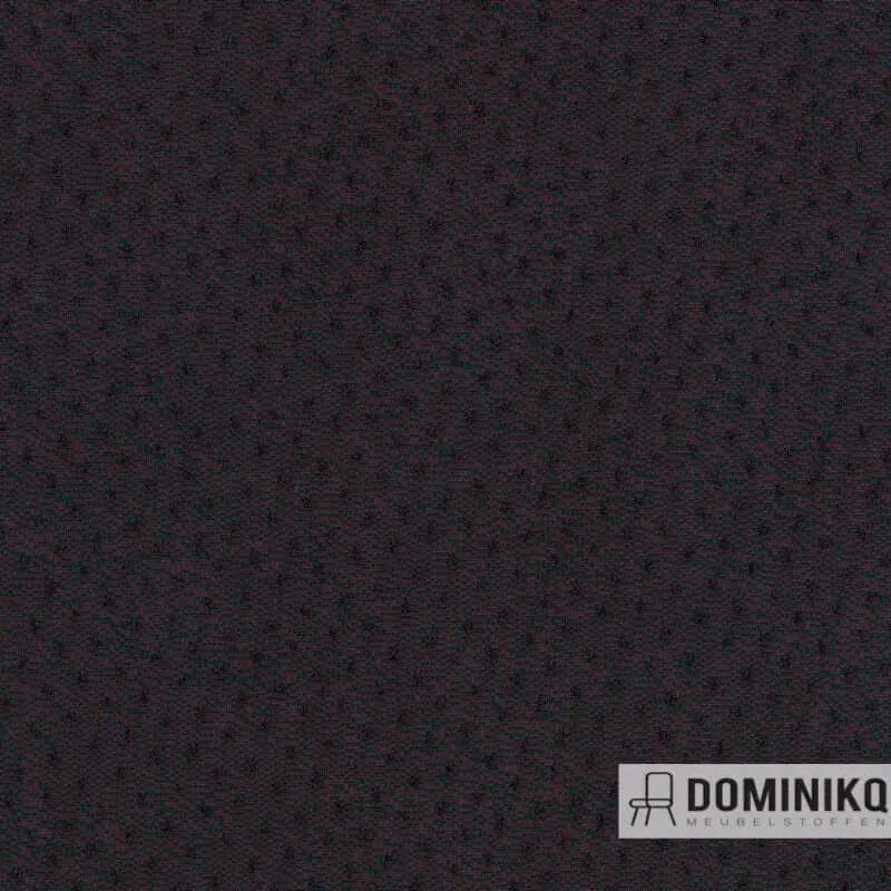 Kvadrat - Febrik - Rumeur - 0681