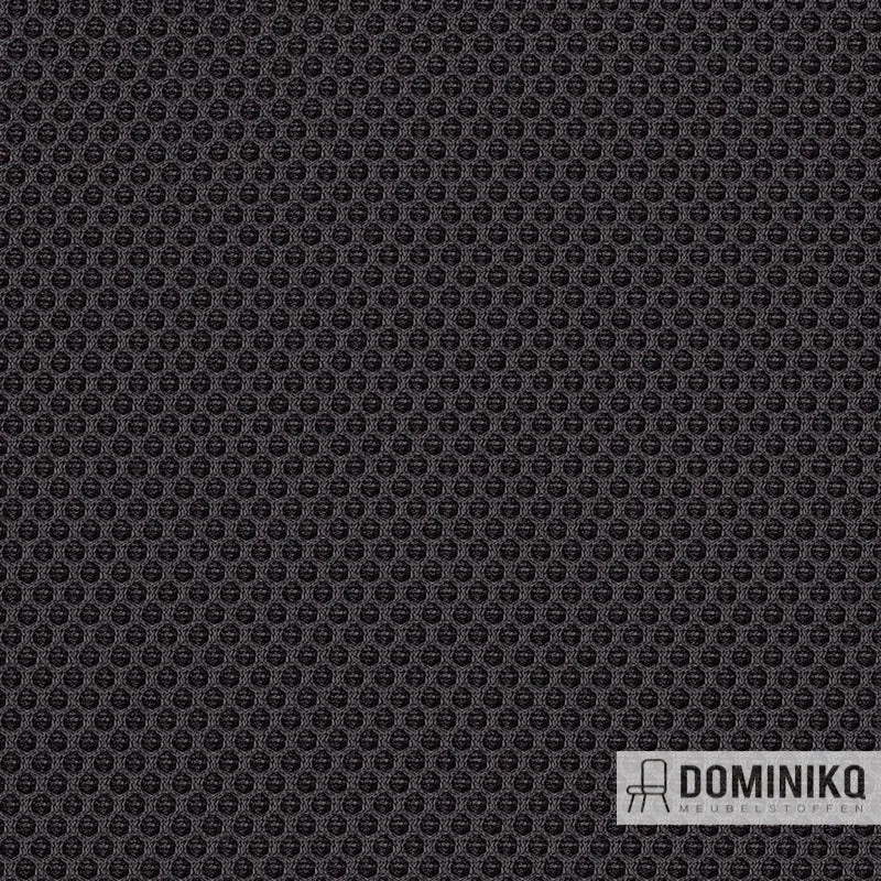 Gabriel - Runner à 60025