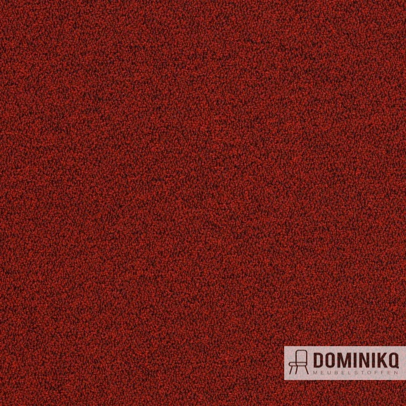 Gabriel - Mica - 2497-64146 - Foncé