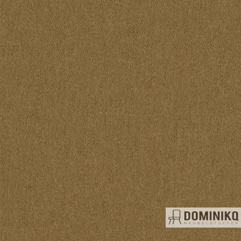 Gabriel - Focus à 61037