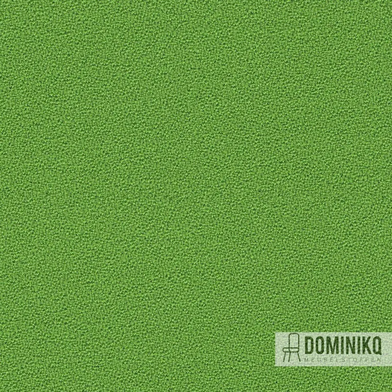 Camira - Aquarius - JA442 - Tombola