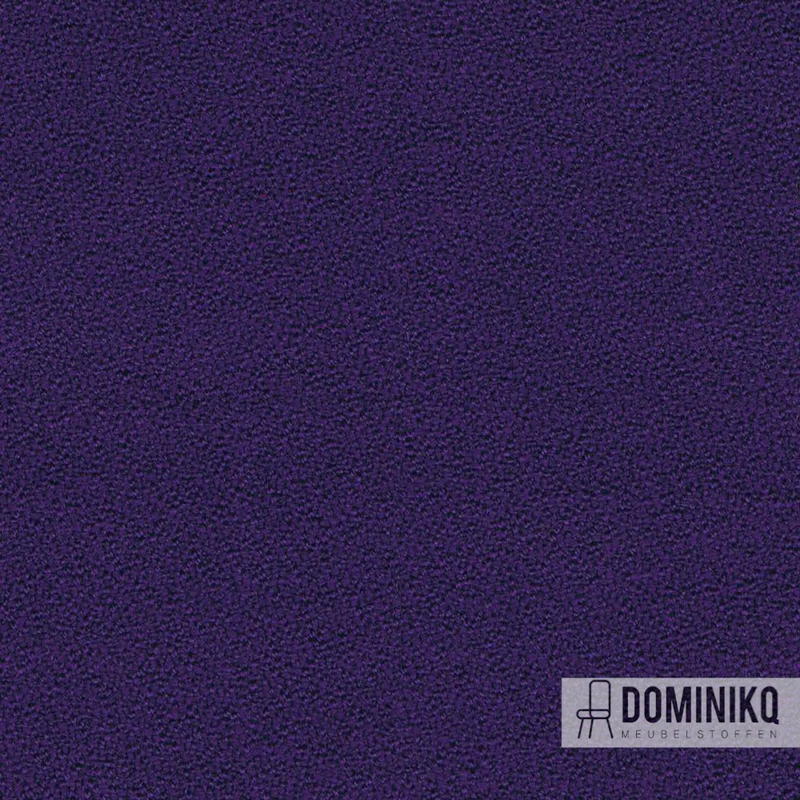 Camira - Aquarius - JA157 - Violet