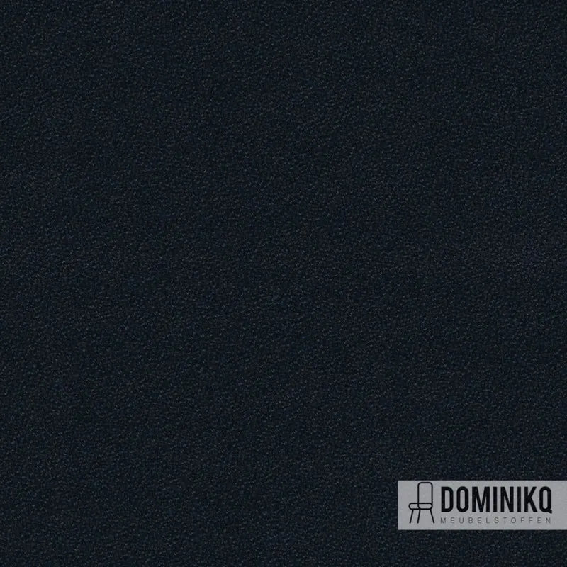 Camira - Aquarius -JA016- Mariner