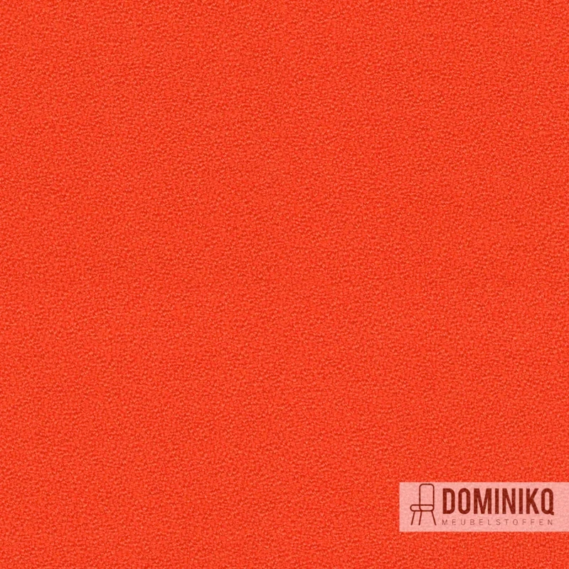 Camira - Aquarius - JA428 - Cirque