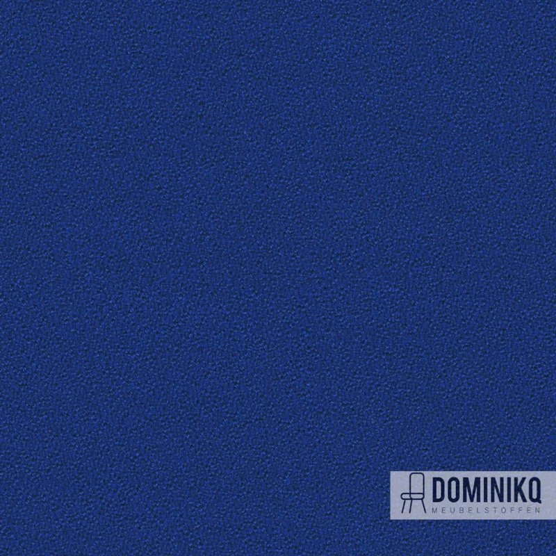 Camira - Aquarius - JA159 - Schtroumpf