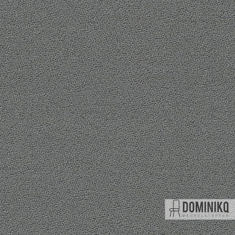 Camira - Aquarius - JA125 - Champignon