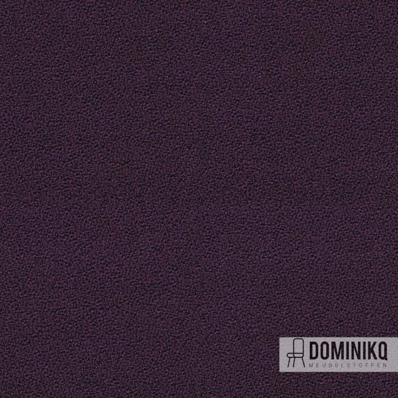 Camira - Aquarius - JA047 - Paderborn